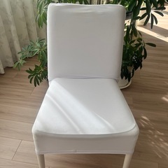 ダイニングチェアの画像