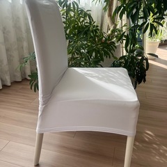 ダイニングチェアの画像