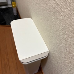 蓋付き防臭ゴミ箱20L
の画像