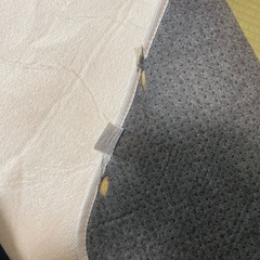 ニトリで購入したラグ　　の画像