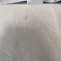 ニトリで購入したラグ　　の画像