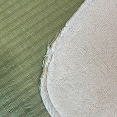 ニトリで購入したラグ　　の画像