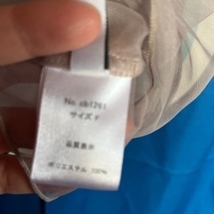 レースジレ
の画像