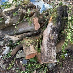 欲しい方、取りに来られる方。差し上げます。薪、端材の画像