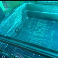 爬虫類等飼育ケージ他の画像