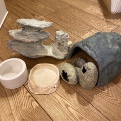 爬虫類等飼育ケージ他の画像