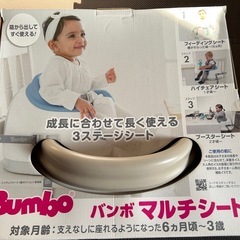 バンボ　マルチシート　グレー色の画像