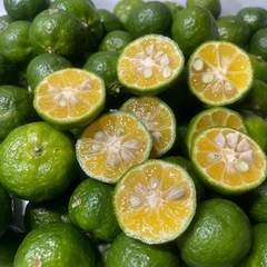 やんばるシークヮーサー5キロ　無農薬の画像