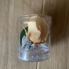 ローズ　一輪　薔薇　花　バラ　インテリア　置物　ドライフラワー　ブリザーブドフラワー　プリザーブドフラワー　飾り　オブジェ　アンティーク　ブリザーブドフラワー　ローズ　プリザーブドフラワー　雑貨　の画像