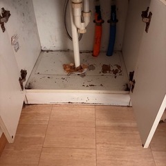 0円‼️洗面台60㎝巾、シャワー付きの画像