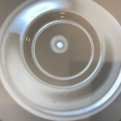 A7142【ウェッジウッド】メイスフィールド ピオニー ティーカップ ソーサーの画像