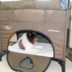 ペット用ベッドの画像