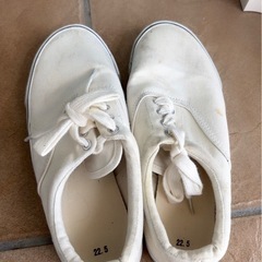 スニーカー　22.5cmの画像