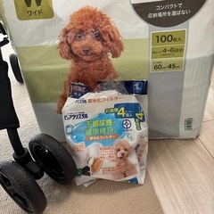 ペットカート　おむつ他セットの画像