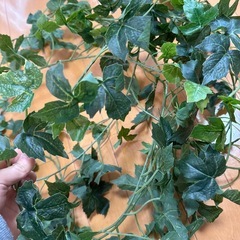 高級造花
の画像