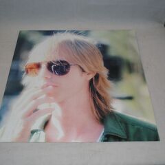 [1688]トム・ペティ & ザ・ハートブレーカーズ　破壊　 レコード　LPの画像