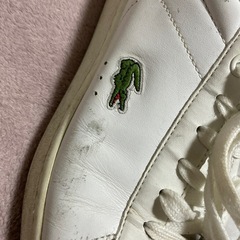 ラコステ　スニーカー　メンズ26.5 本日終了の画像