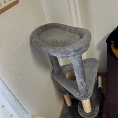 キャットタワーの画像