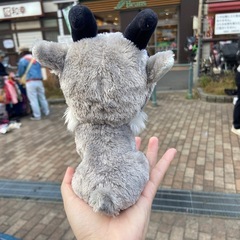【美品】ぬいぐるみの画像