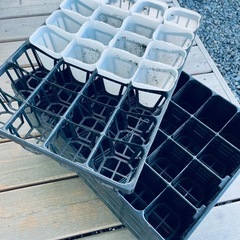 家庭菜園の育苗等に　9cmポット&トレーの画像