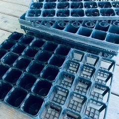 家庭菜園の育苗等に　7.5cmポット&トレーの画像