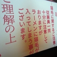 Yaber K3 プロジェクター 訳あり　
箱備品完備の画像