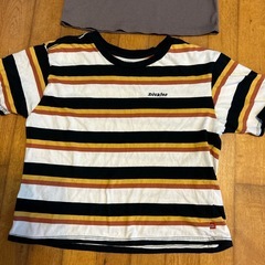 レディース　Ｌサイズ　カットソーの画像