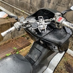 早い者勝ち mfフォルッア08の画像