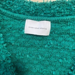 グリーンベストの画像