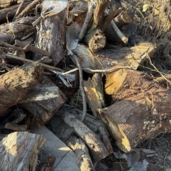 焚火などに　薪、廃材の画像