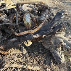 焚火などに　薪、廃材の画像