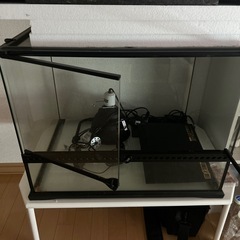 爬虫類飼育セットの画像