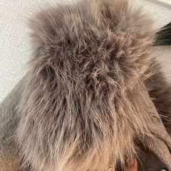 snidel ポンチョコートの画像