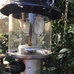 コールマンランタン➕ランタンハンガーの画像