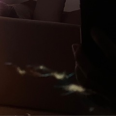 有機EL  テレビ　画面破損 の画像