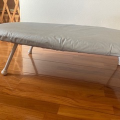 スチームアイロンの画像