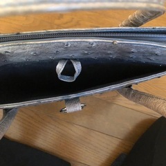 オーストリッチ　バッグの画像