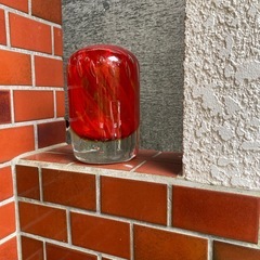 植物🌲は屋内でも屋外でもとても美しいです。の画像