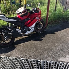 yzf 15 Rの画像