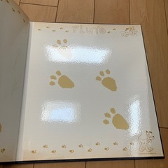 大きめアルバム2冊セットの画像