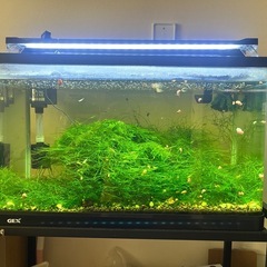 水槽の画像