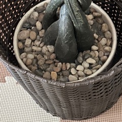 観葉植物　フェイクグリーンの画像