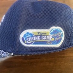 阪神タイガースキャップの画像