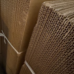 ダンボール　100さいず100サイズの画像