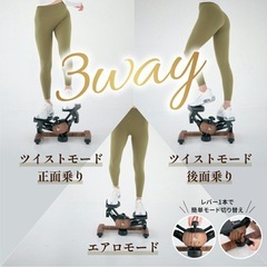  ツイストエアロステッパー Premium  SP-600の画像