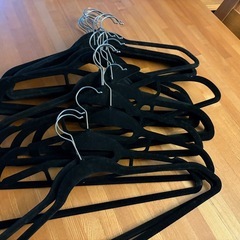 【お譲り先決定しました】ハンガー22本セットの画像