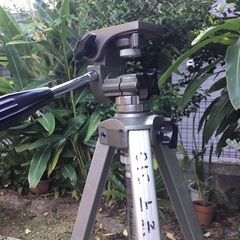 カメラ三脚の画像