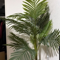 フェイク　観葉植物　土台付き　全長130cmの画像