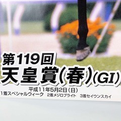 第119回天皇賞(春)スペシャルウィーク ポスター B2 競馬 JRAの画像