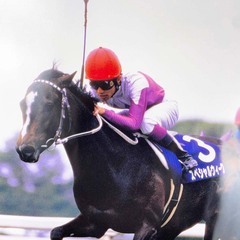 第119回天皇賞(春)スペシャルウィーク ポスター B2 競馬 JRAの画像